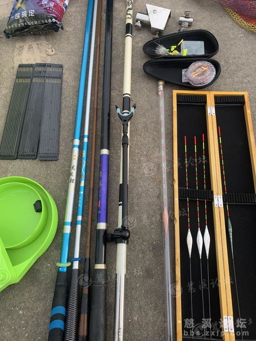 渔具钓箱搭配指南 打造专业垂钓装备组合
